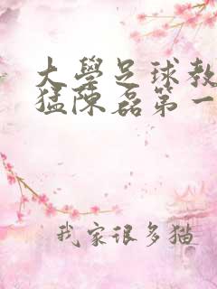 大学足球教练王猛陈磊第一篇