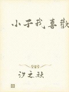 小子我喜欢你