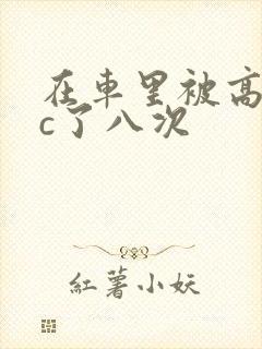 在车里被高潮被c了八次