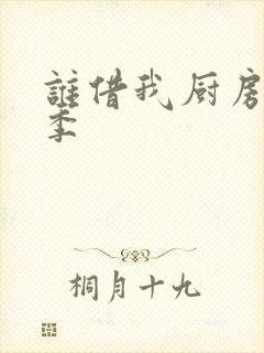 谁借我厨房第二季