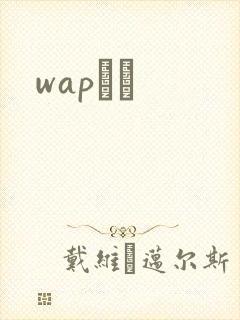wapС˵