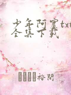 少年阿宾txt全集下载