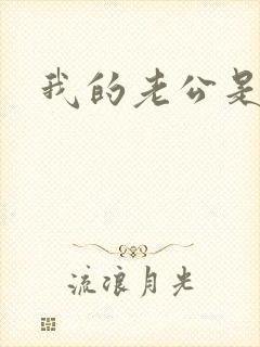 我的老公是魔王