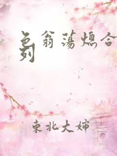 色翁荡熄合集系列