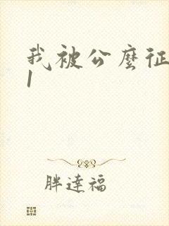 我被公么征服了1