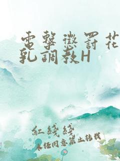 电击惩罚花蒂榨乳调教H