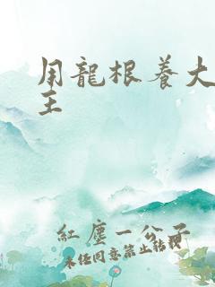 用龙根养大的公主