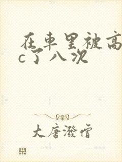 在车里被高潮被c了八次