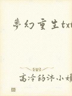 梦幻重生txt