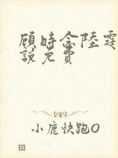 顾时念陆霆骁小说免费