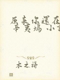 原来你还在这里 辛夷坞 小说