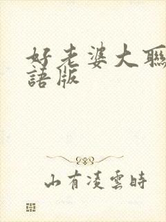 好老婆大联盟国语版