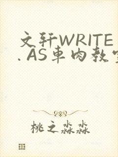 文轩WRITE. AS车肉教室