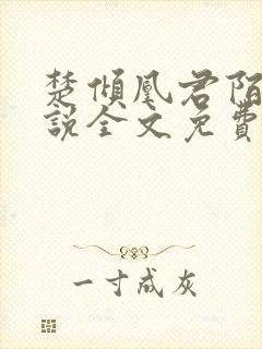 楚倾凰君陌尘小说全文免费阅读