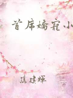 首席娇宠小情人