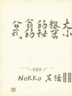 公翁的粗大放进我的秘密小说