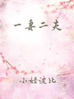 一妻二夫