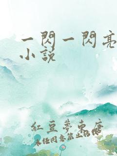 一闪一闪亮晶晶小说