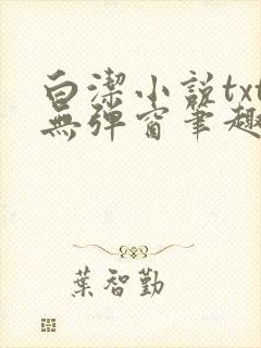 白洁小说txt无弹窗笔趣阁