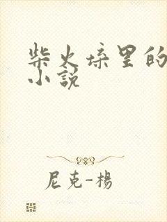 柴火垛里的疯狂小说