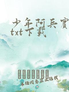 少年阿兵宾小说txt下载