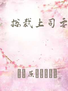 总裁上司要偷心