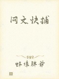 网文快捕