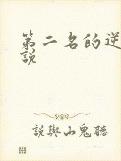 第二名的逆袭小说