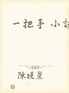 一把手 小说