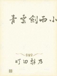 青云剑雨小说