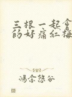 三根一起会坏掉的好痛红梅