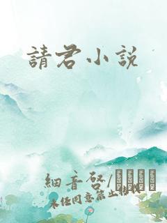 请君小说