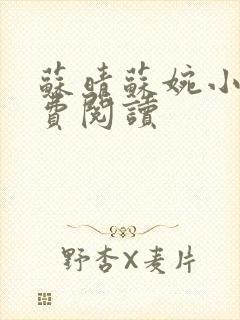 苏晴苏婉小说免费阅读