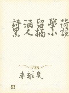 诗涵留学荷兰被黑人摘小说