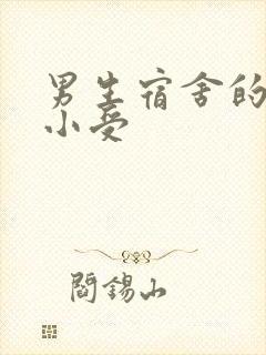 男生宿舍的公共小受