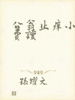 公翁止痒小说免费读