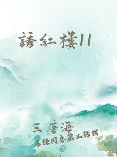 诱红楼11