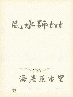 风水师txt