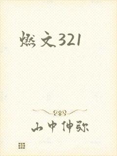 燃文321