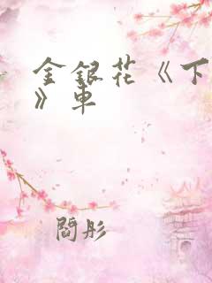 金银花《下厨房》车