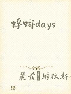 蜉蝣days