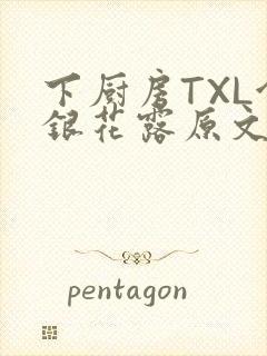 下厨房TXL金银花露原文