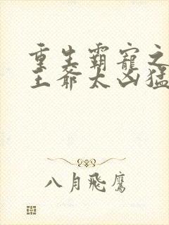 重生霸宠之摄政王爷太凶猛