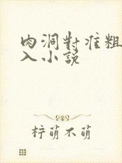 肉洞对准粗大坐入小说