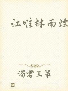 江唯林南烟
