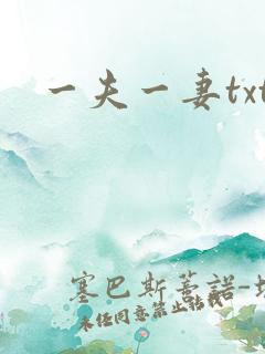 一夫一妻txt