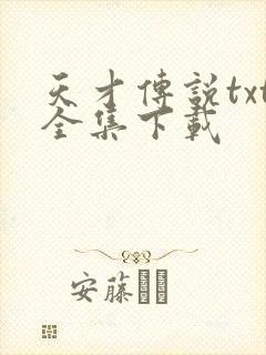 天才传说txt全集下载