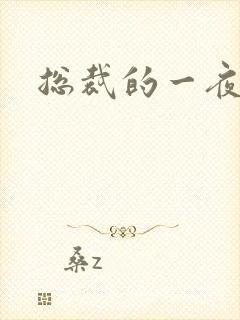 总裁的一夜情人