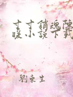 寸寸销魂陈聪王暖小说下载