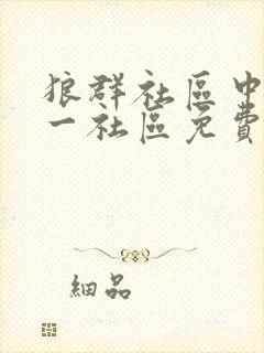 狼群社区中文第一社区免费